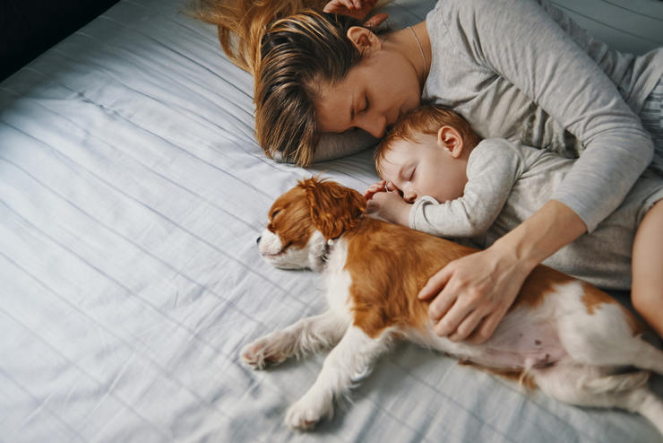 Take Opportunities To Sleep When The Baby Does