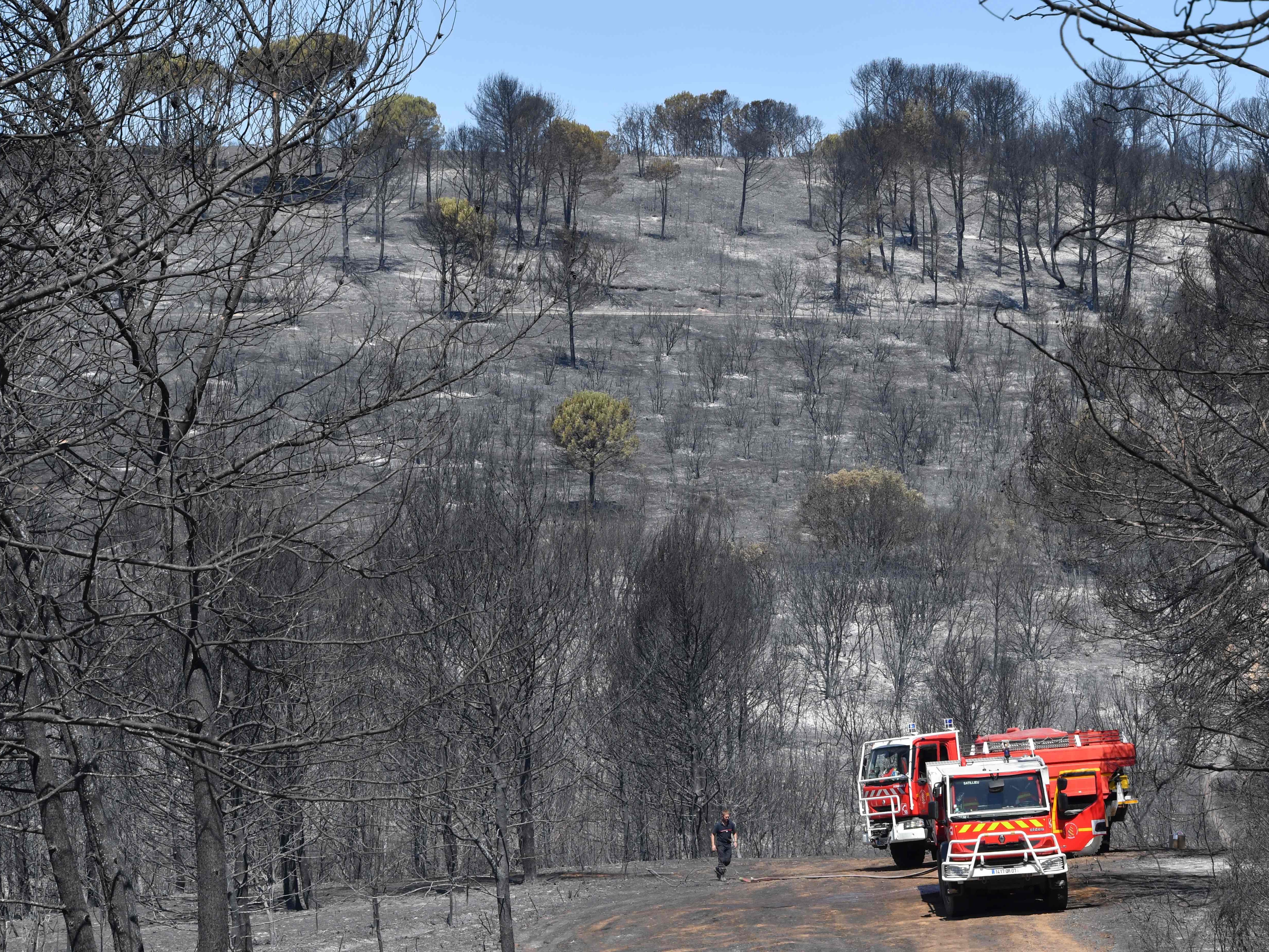 Firefighting trucks are parked on a path in the forest near the village of Generac on Aug. 3, 2019 where a four days wild fire destroyed nearly 1,980 acres of woodland, heathland and vineyards in the area. The pilot of a firefighting plane died on August 2 when his aircraft crashed while trying to put out the blaze that may have been started deliberately, regional prosecutor said.