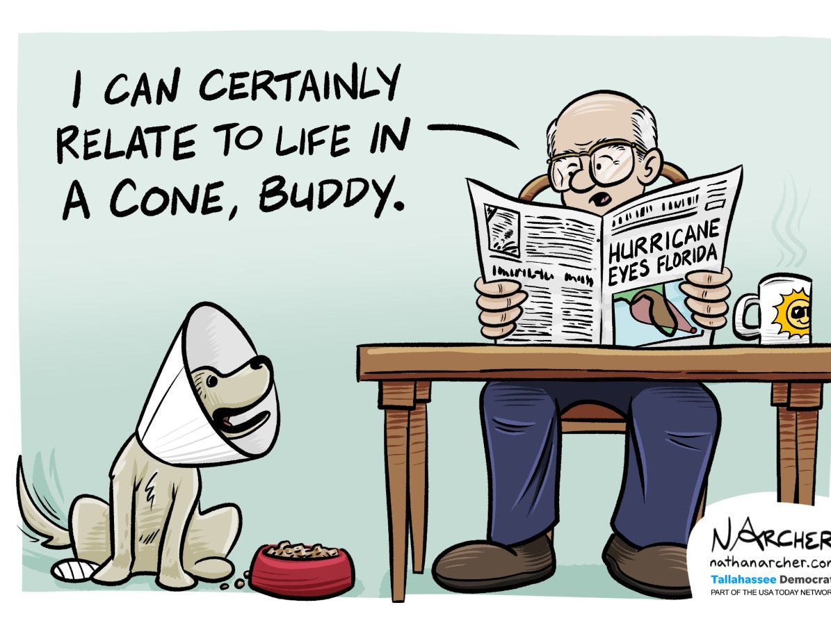 The cartoonist's homepage: https://www.tallahassee.com/opinion/