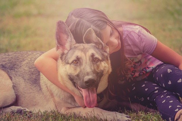 kids puppies photo