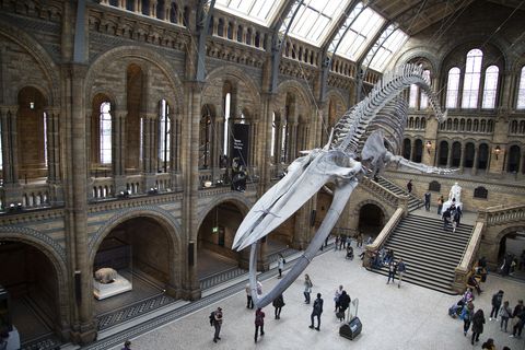 days out in London 