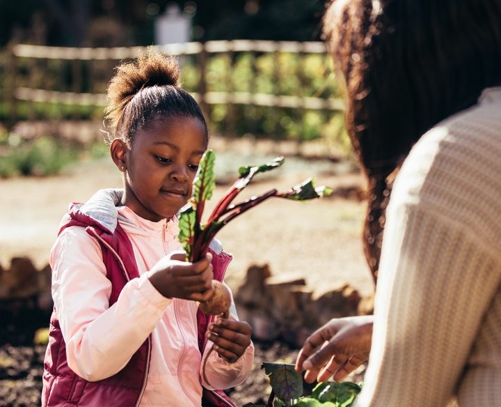 Create new Halloween rituals with healthy eating and playful living – The Conversation CA