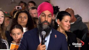 Federal Election 2019: Singh says Liberals wrong on Human Rights Tribunal appeal