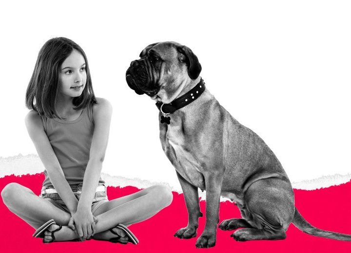 I Want to Take My Ex to Court for Adopting a Dog With the Same Name as Our Kid – Slate