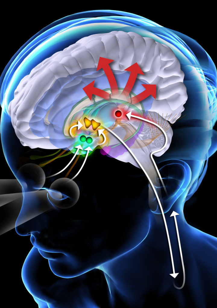 Is Melatonin Safe to Take Every Night? – TIME