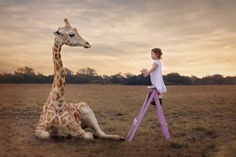 Girl and giraffe