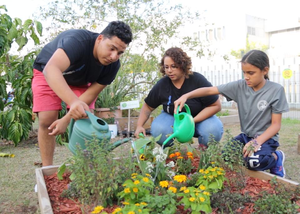 Money raised by children Trick-or-Treating for UNICEF after Hurricane Maria helped create community gardens at Boys & Girls Clubs of Puerto Rico. The gardens help beautify the clubs and give children an opportunity for hands-on learning. 