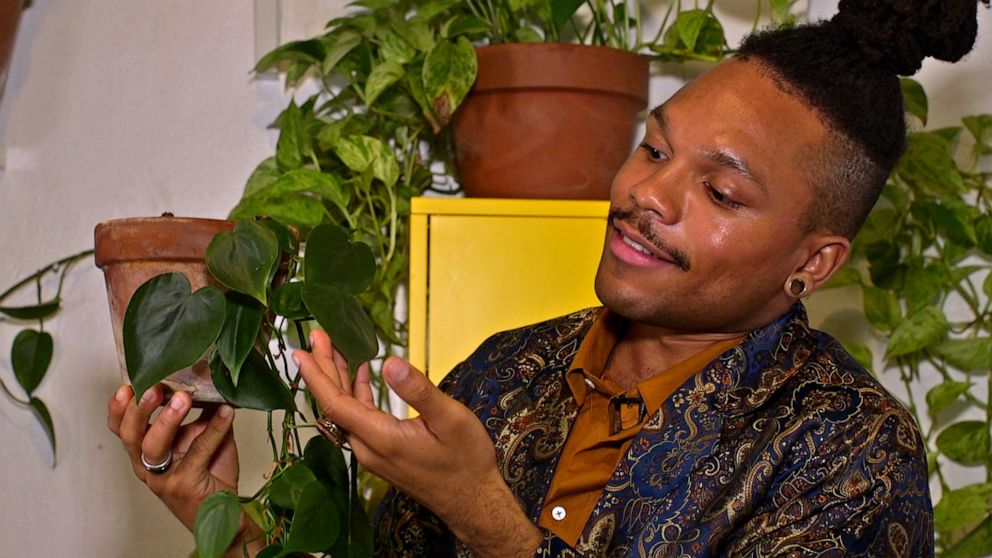 PHOTO: Christopher Griffin tells GMA how to take care of the Heartleaf Philodendron.
