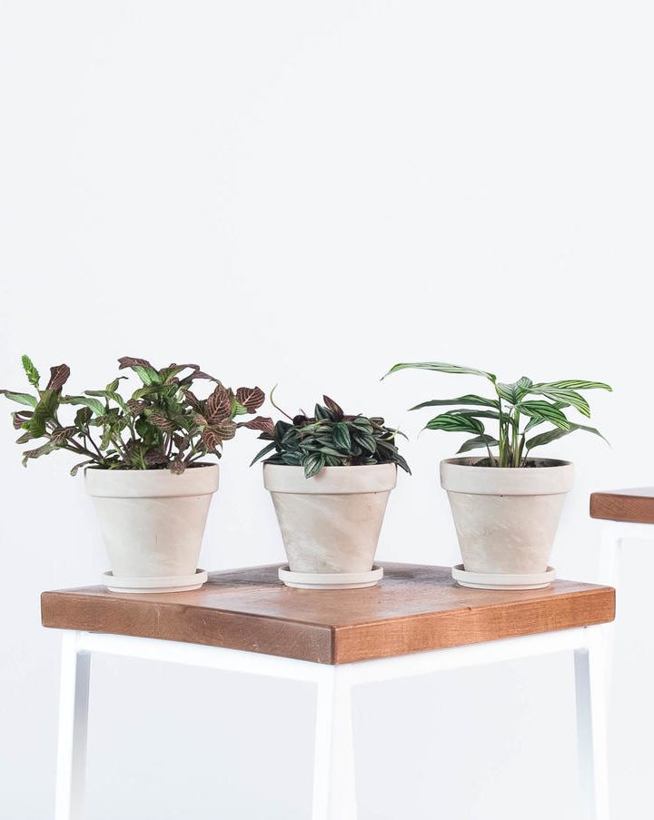 20 Self-Care Items Moms Should Indulge In – CafeMom