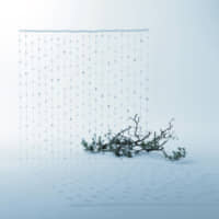 Paper and pine: New year decorations in Japan serve as an abode for divine spirits. They are designed to purge the negative residue of the old year and prepare a purified space in which to welcome those spirits for the year to come. The mizuhiki shown here is meant to create a sacred boundary to ward off evil, so it is made from plain white washi, which epitomizes purity. Titled "Hatsuyuki" ("First Snow"), the work evokes the heavy, moisture-laden snow that falls during winter in Kanazawa. The juxtaposition of dry branches and evergreen needles of the Japanese red pine represents the interconnectedness of the old and new years.