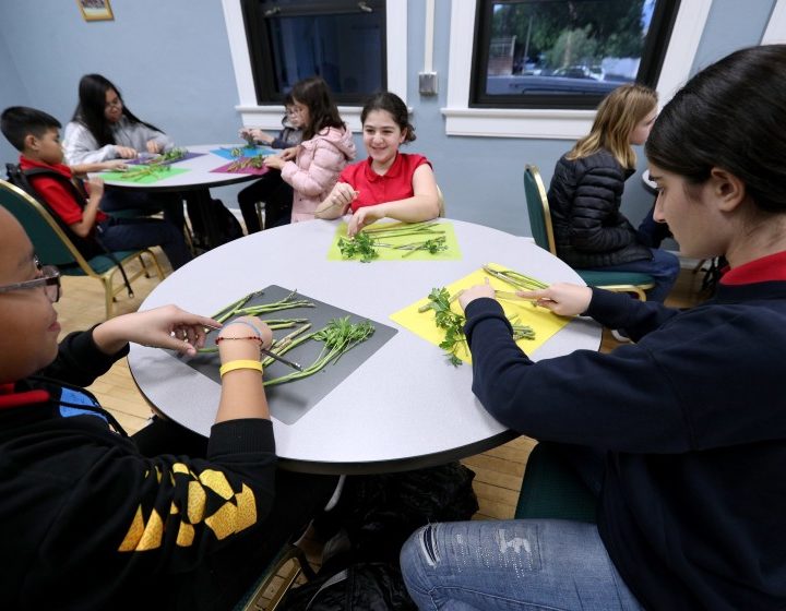 Healthy cooking finds home at Roosevelt Middle School thanks to Rotary club – Los Angeles Times