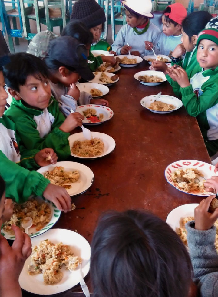 Heathy Children, Healthy Future in Ecuador – Resilience