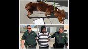 Ronald Peacock was arrested and taken to Brevard County Jail on animal cruelty charges.