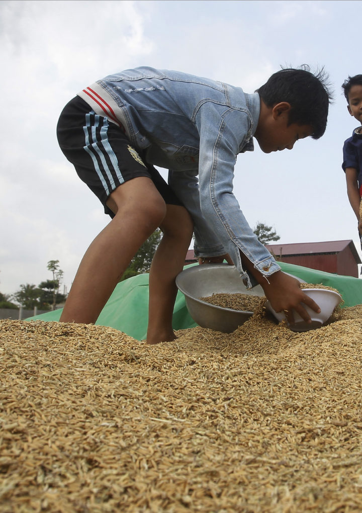 UN: Nearly a half-billion in Asia-Pacific still going hungry – WKMG News 6 & ClickOrlando