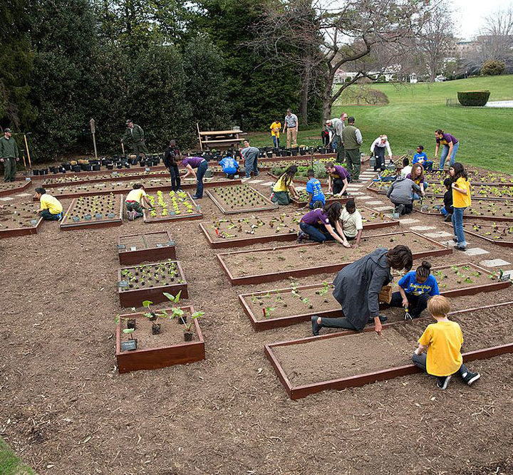 A Partnership Engages Schoolchildren to Design Their Own Healthy Meals – Nonprofit Quarterly