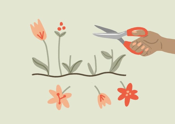 I’m A Psychologist & Here’s The Biggest Mistake People Make With Self-Care – mindbodygreen.com
