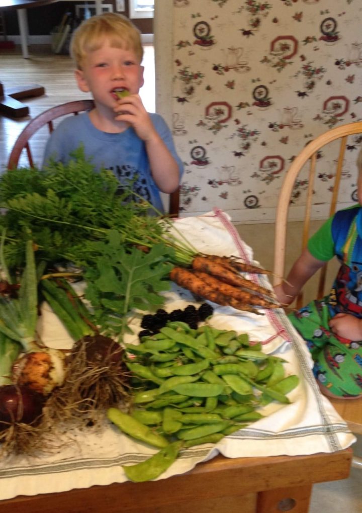 Insider tips for getting your kids to eat healthier from a Birmingham nutritionist – Bham Now