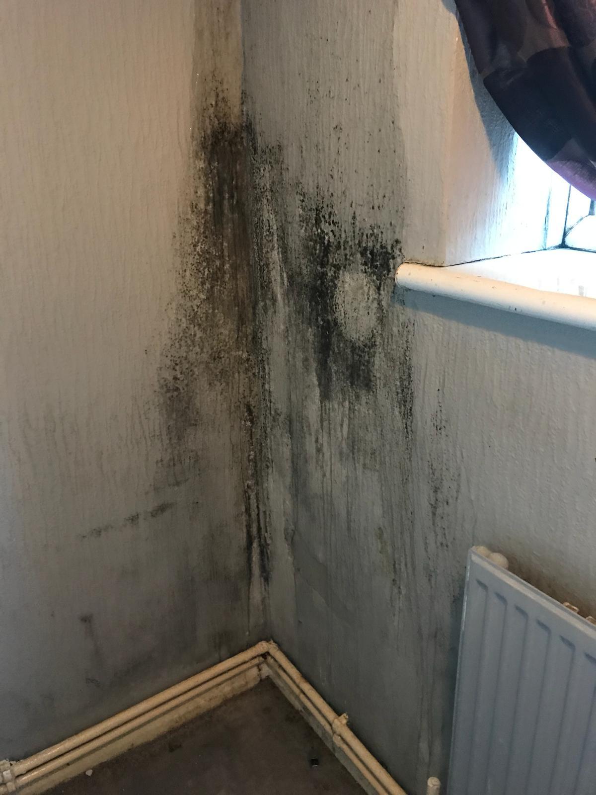  Mould clings to the walls in the two-bedroom property