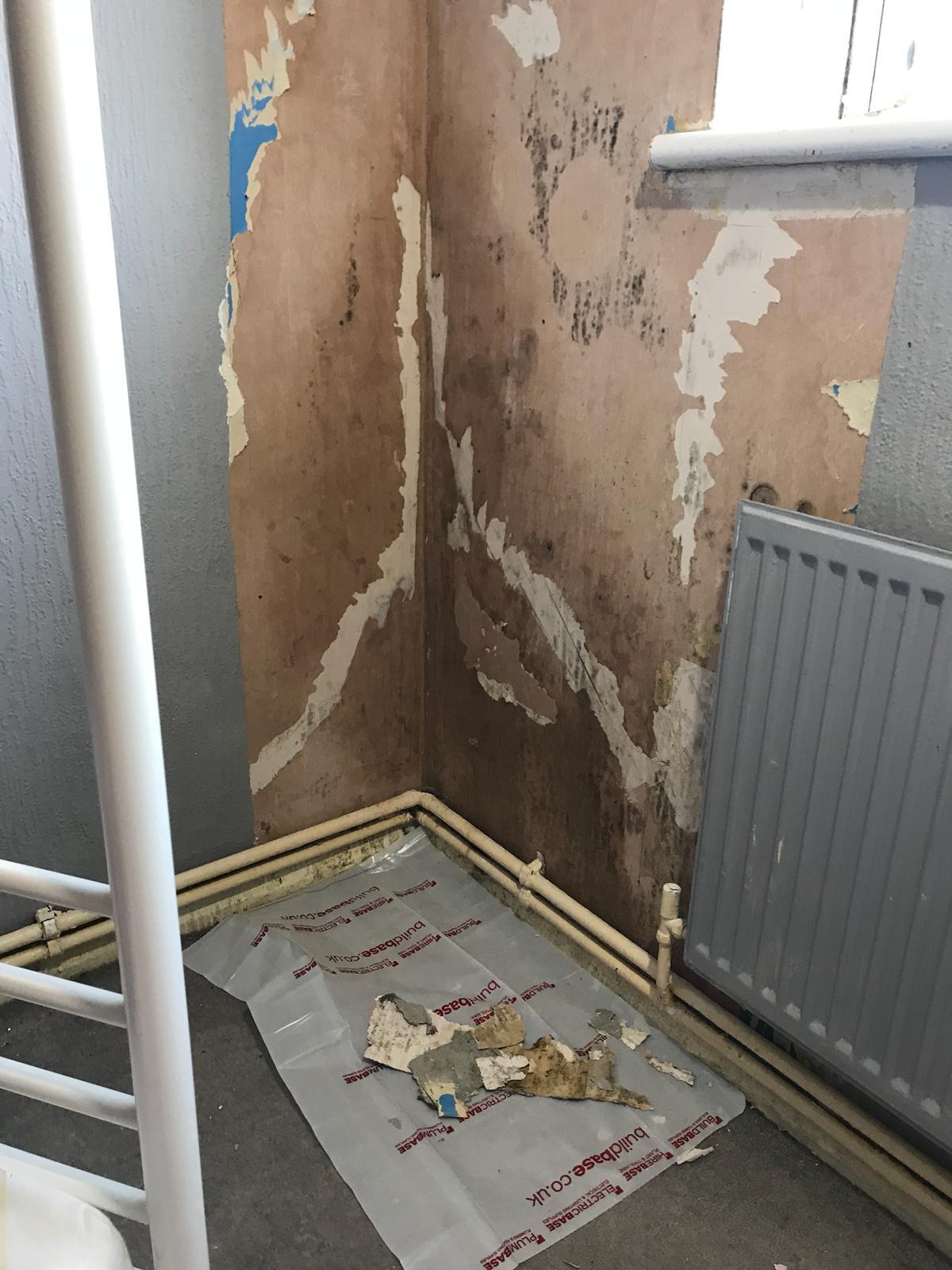  Ripped wallpaper reveals mould on the walls of the property