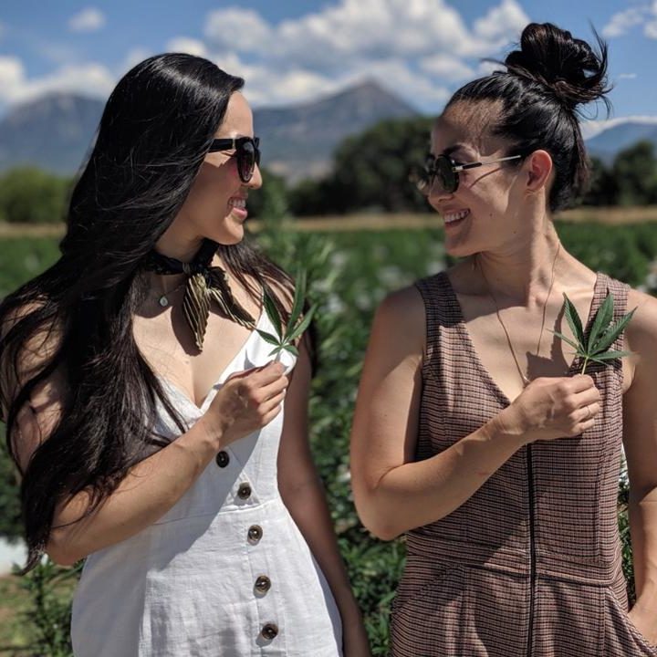 How Office Burnout Caused Two Cranes Botanicals To Take CBD Beyond Self-Care – Forbes