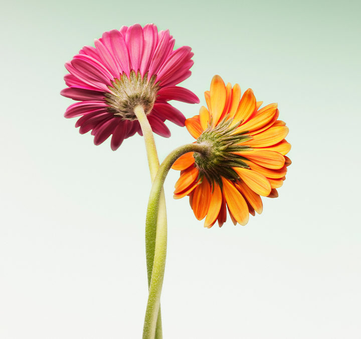 How to Communicate Your Self-Care Needs to Your Partner – Harvard Business Review