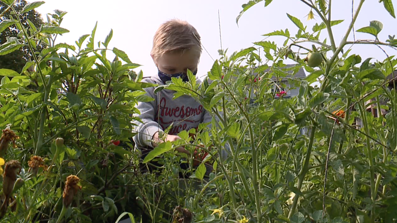 Community garden at Akron elementary school teaching kids about healthy eating