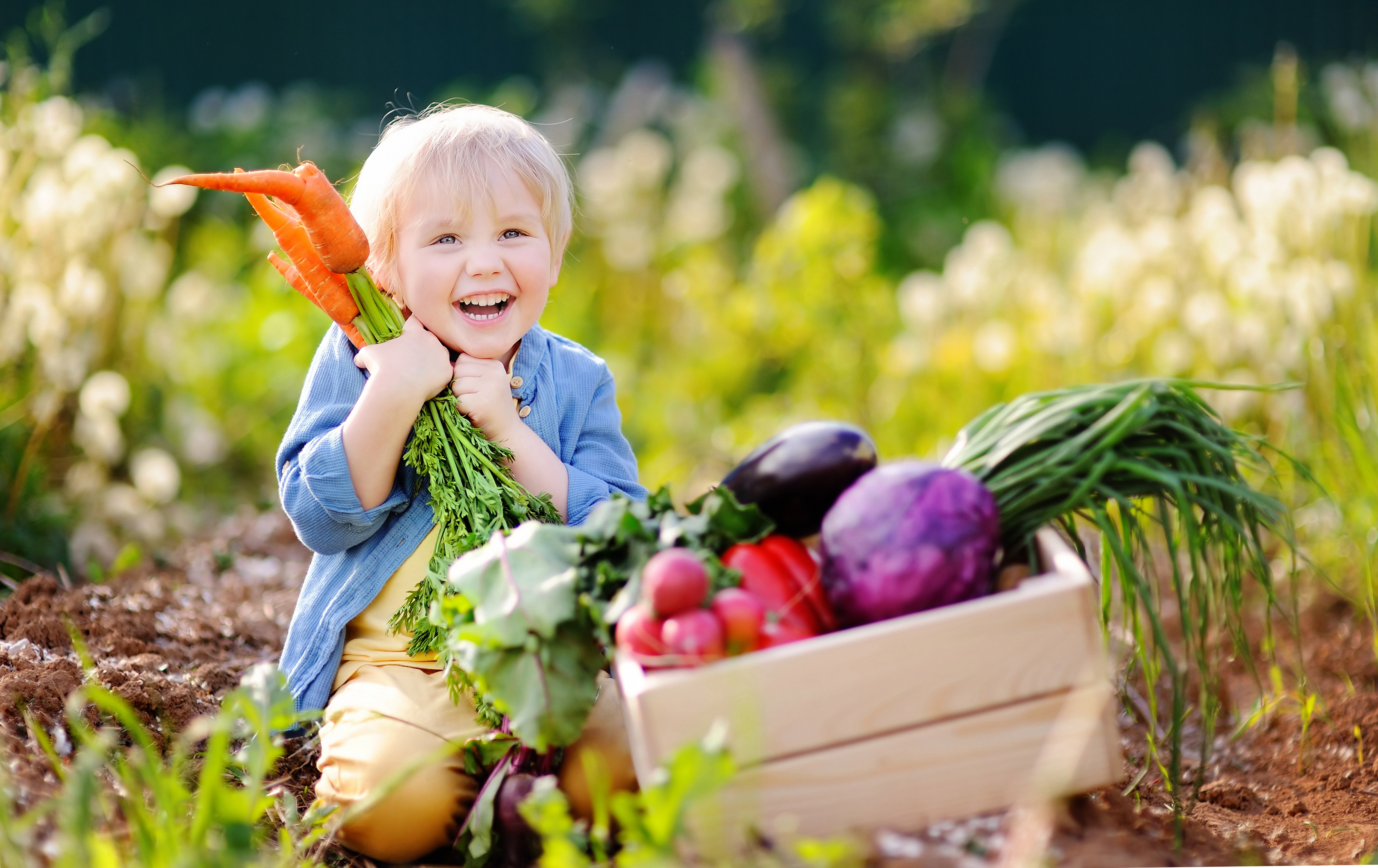 26 per cent of parents in the study said they struggle to get their kids to eat a balanced diet