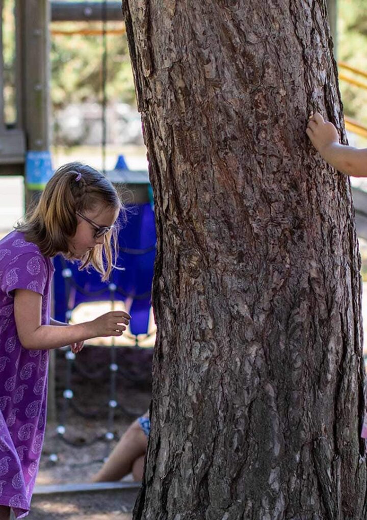 COVID-19 takes toll on physical health of young Canadians, scientists, school board find – CBC.ca