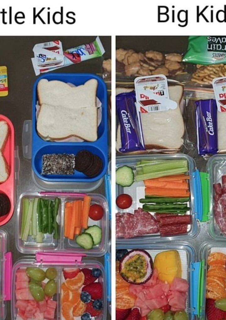 Mum-of-four sparks fierce debate with her kids’ MASSIVE lunch boxes with some claiming there’s way too much fo – The Sun